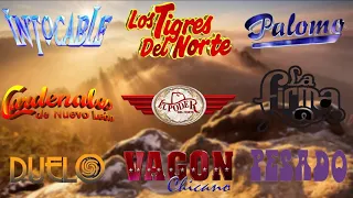 Los Tigres Del Norte, Cardenales, Vagon, Pesado, Intocable, Palomo, Duelo, El poder, La Firma y Mas