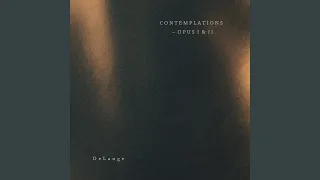 Contemplation No. 12