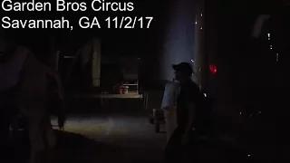 Garden Bros Circus Elephant Stereotypies & Harassment