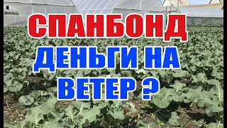 Спанбонд  - ДЕНЬГИ НА ВЕТЕР ? ИЛИ ...