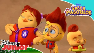 🐥 Gașca Puișorilor în ajutor | Gașca Puișorilor | Disney Junior România