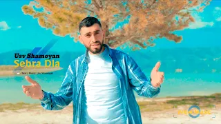 Usv  Shamoyan ˝ Sebra Dla ˝  New Official Music Video / 2024