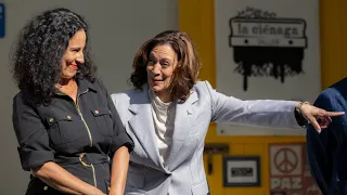 ‘They don’t actually want you there’: Kamala Harris ‘mindlessly bops along’ to protest song