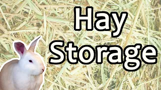 STORING HAY - How I store hay for my pair of house rabbits