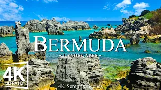 Bermuda 4K • Flying Over Pink Sand Beaches and Turquoise Waters With Peaceful Piano Music