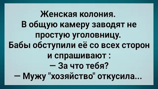 Уголовница Откусила Мужу "Хозяйство"! Сборник Свежих Анекдотов! Юмор!