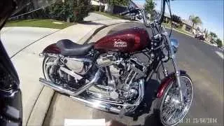 2013 Sportster 72 Walk around