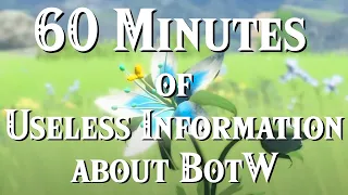 60 Minutes of Useless Information about BotW