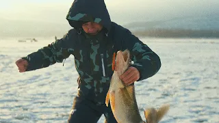 ОТМЕННЫЙ КЛЕВ СУДАКА НА ВИБЫ! Зимняя рыбалка в Тольятти. Саша Котов. САМЫЕ УЛОВИСТЫЕ ПРИМАНКИ! 4K