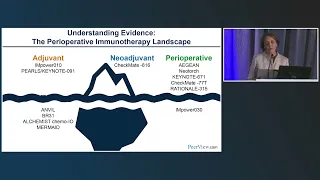 Transforming Care and Outcomes With Immunotherapy in Stage I-III Resectable NSCLC