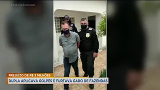 PREJUÍZO DE R$ 3 MILHÕES: DUPLA APLICAVA GOLPES E FURTAVA GADO DE FAZENDAS