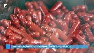 Таблетка от covid-19 может появиться в начале 2022
