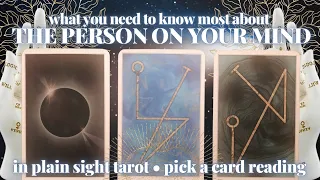 PICK A CARD: THE PERSON ON YOUR MIND (WHAT YOU NEED TO KNOW)