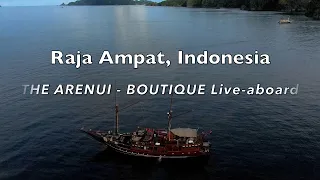 SCUBA Diving in Raja Ampat, Indonesia, on The Arenui - January 18 - 30, 2024