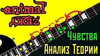 Анимал джаз - Чувства - разбор и анализ теории на гитаре