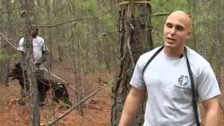 Local K-9's Search for Bigfoot