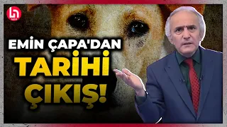 Emin Çapa, canlı yayında sinirlerine hakim olamadı: Katilsiniz, canisiniz!