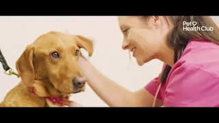 The Pet Health Club - They Look After You, Let's Look After Them