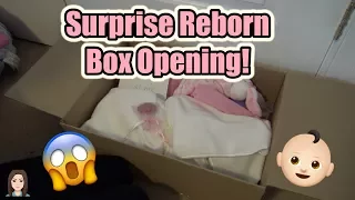 SURPRISE! Reborn Baby Box Opening! | Kelli Maple