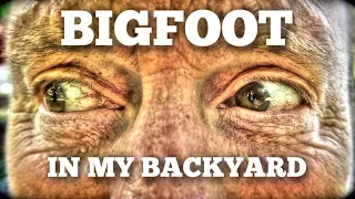 A Bigfoot Was In My Backyard!