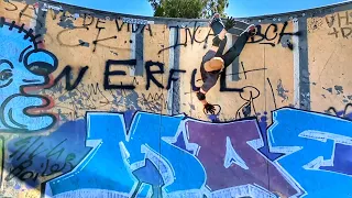 Bert in Bowl | Surfskate