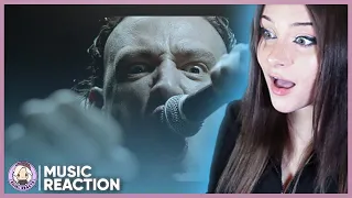 E-Girl Reacts│Code Orange - Swallowing The Rabbit Whole│Music Reaction