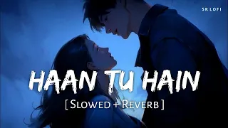 Haan Tu Hain [Slowed+Reverb]-KK|Sayeed Quadri @Music_Duniya_0001