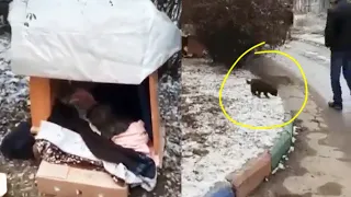 She Exhaustedly Begged Each Passerby To Save His Siblings In The Freezing Snow