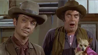 Yellow Dog Scene From Support Your Local Gunfighter with James Garner & Jack Elam