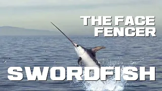 10 Swordfish Facts - The Face Fencer - Animal a Day