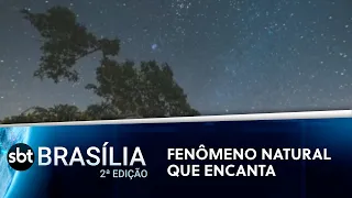 Chuva de meteoros atinge o pico na madrugada | SBT Brasília 2ª Edição 11/08/2021