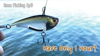 Bass Fishing Ep.9  Lipless Crankbait/ Castaic Lake in California/ after work/미국 캘리포니아 호수에서 일 마치고 짬낚시