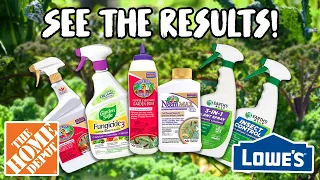 Testing the TOP ORGANIC PESTICIDES from HOME DEPOT and LOWES! Do they ACTUALLY WORK?