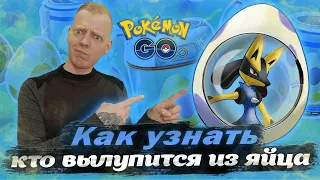 ГАЙД: Как узнать какой покемон вылупится из яйца [Pokemon GO]