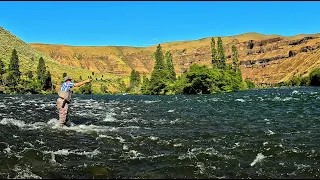Fly Fishing Day on the Deschutes River