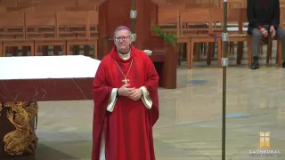 Palm Sunday Homily at the Cathedral, Bishop Robert Barron (3/20/2016)