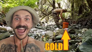 FINDING PUBLIC GOLD "JONES CREEK" NEW ZEALAND GOLD PANNING