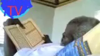 Une rare video de Serigne saliou mbacke 😭😭 borom diamono