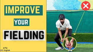 Cricket Fielding Techniques & drills @cricketmastery