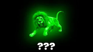 15 Lion "Roaring" Sound Variations in 50 Seconds I Ayieeeks Animations