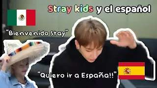 Especial 30k subs! Stray kids hablando español