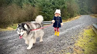 Adorable Little Girls Takes Her Dogs For A Walk! (Cutest Ever!!)