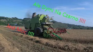 #Żniwa 🔥Claas Mercator 60 😎Same explorer 90 😁Przyczepa kverneland  Zetor 9540 z prasą [EKIPA]