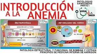 INTRODUCCIÓN A LA ANEMIA | GuiaMed