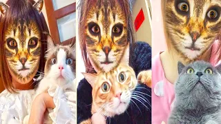 🐱 Funniest Cats 🐱 Cats Hilarious Reaction When They See Cat Filter On Owners' Faces