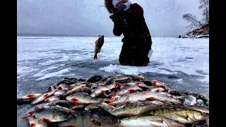 ОТ ТАКОГО РУКИ ТРЯСУТСЯ,ШОКИРУЮЩАЯ РЫБАЛКА МЕЧТЫ!ЭТО НЕ ЯКУТИЯ 2! Первый лед, Крупный окунь.