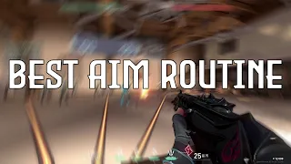 *THE BEST* VALORANT AIM ROUTINE/KOVAAKS ROUTINE + MY SETTINGS (GODLY AIM)
