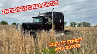 Bringing A Forgotten International Eagle Back To Life!!