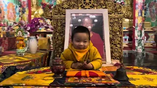 Yangsi Garje Khamtul Rinpoche this evening on 29th November 2023