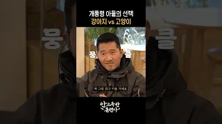 고양이 압승